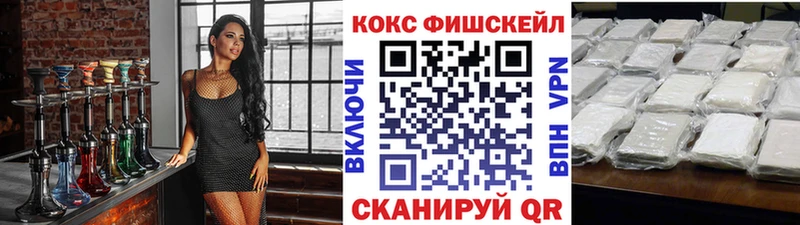 Купить закладки  Большой Камень  КОКАИН FishScale 