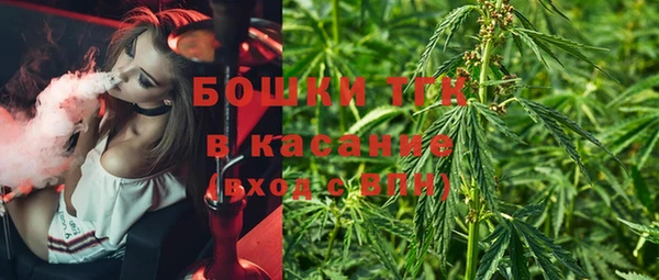 мет Инсар