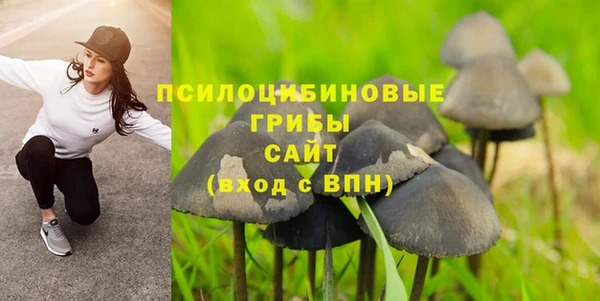 дурь Иннополис