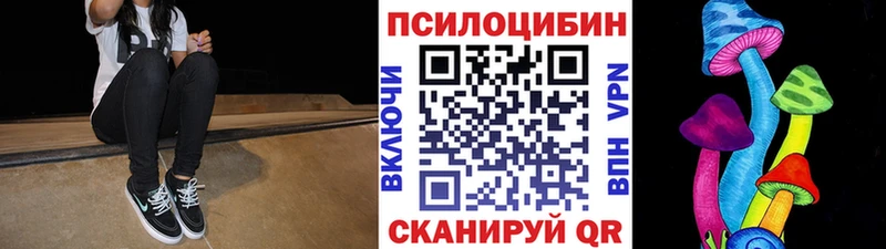 Купить где  Большой Камень  Галлюциногенные грибы Psilocybe 
